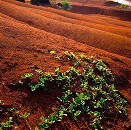 《霓虹深渊》8月15日更新 “时空陷阱”DLC登陆主机